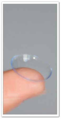 lentilles