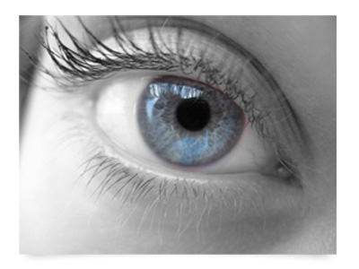 oeil